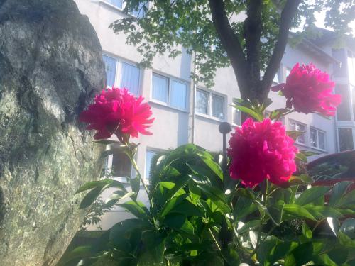 März-Wochenende in Hanau - Doppelzimmer